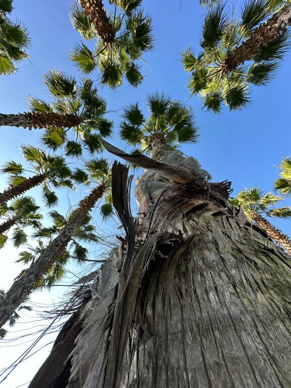 Олимпийский парк